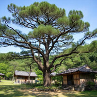 제주 유수암마을 역사